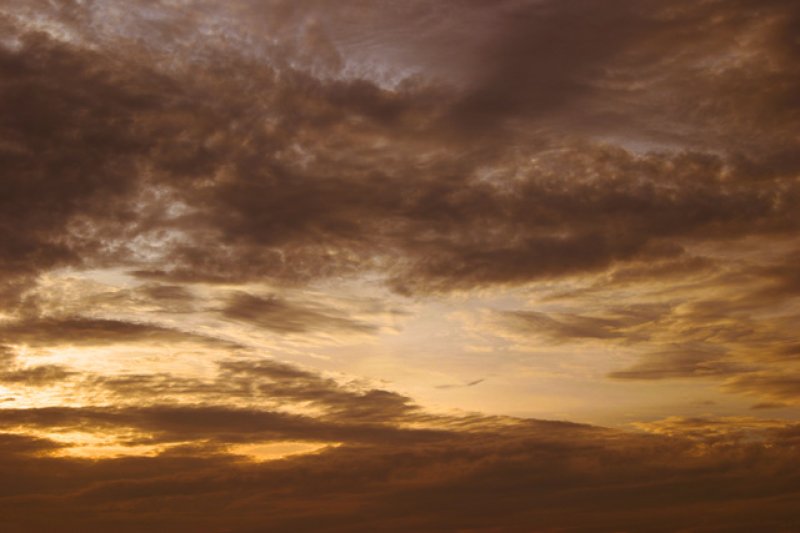 画像1: バリエーション登録！ (1)