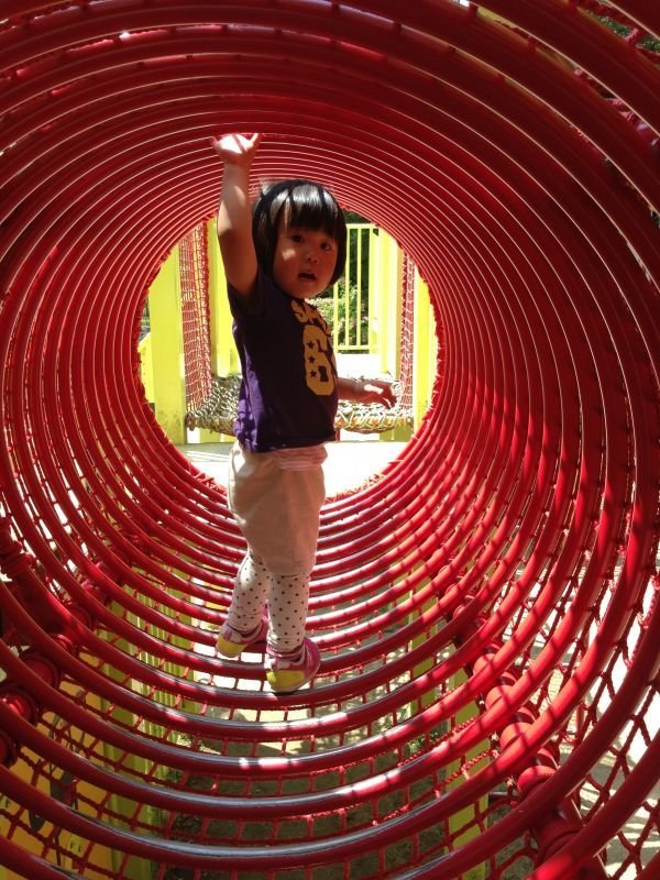 画像2: ドーナッツ3→Option2＋Option3 (2)