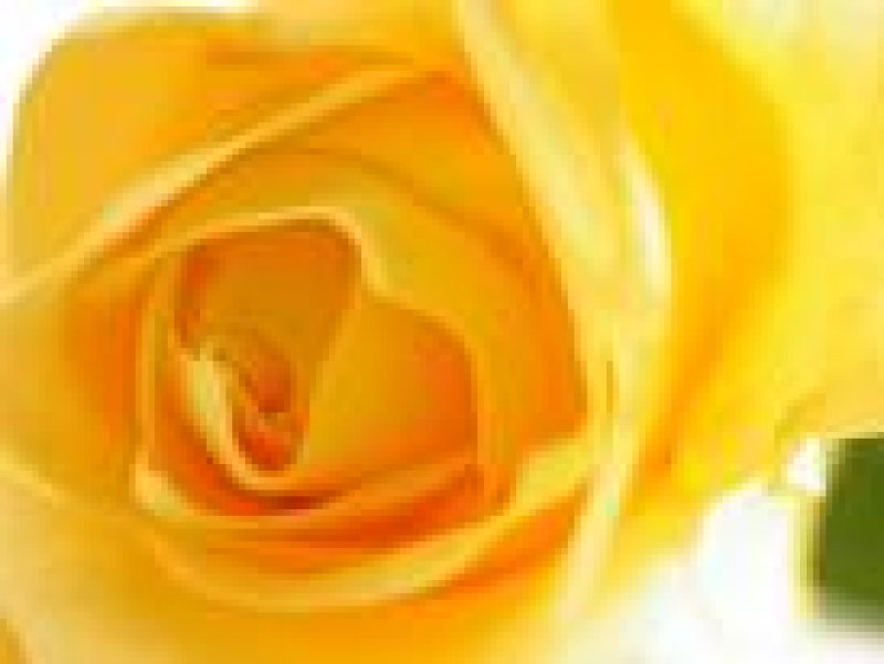 画像4: ドーナッツ3→Option2＋Option3 (4)